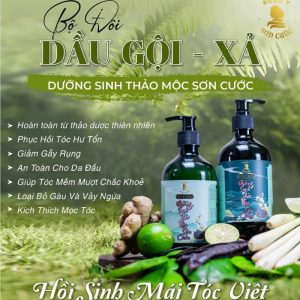 combo-dau-goi-xa-duong-sinh-thao-moc-2